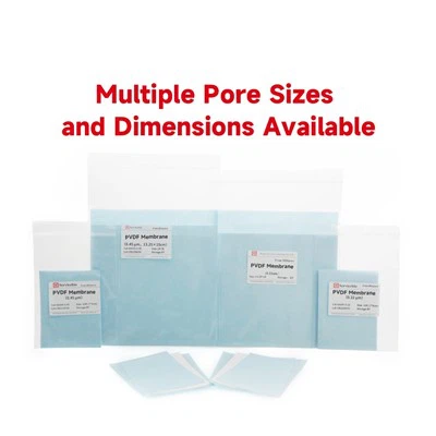 0.2 μm PVDF جھلی