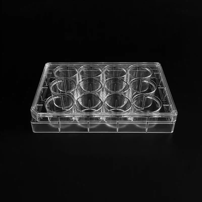 12 ویل سیل کلچر پلیٹ