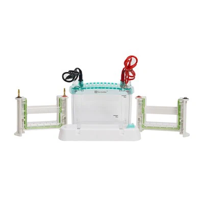 4-جیل ورٹیکل الیکٹروفورسس سسٹم